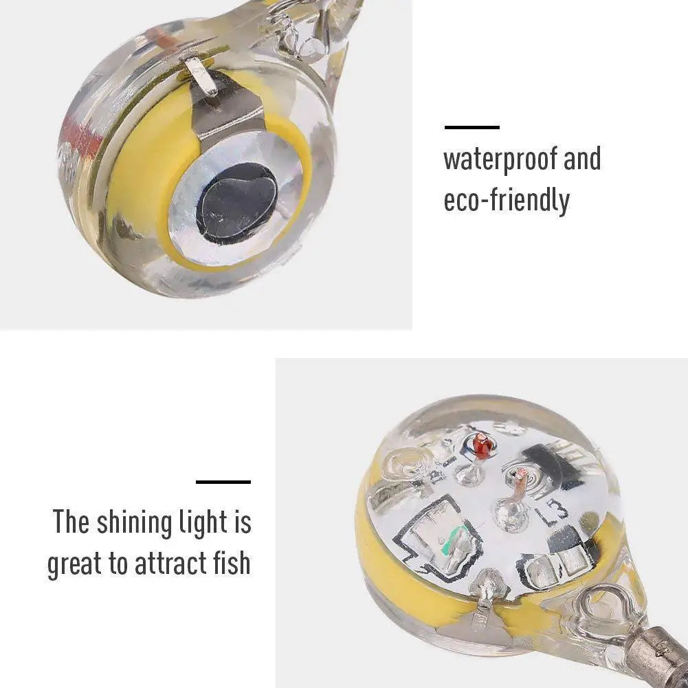 10-100Pcs Mini Fishing Lure Light LED Attracting Fish Light Underwater Eye Shape Fishing Bait Luminous Lure for Attracting Fish Daniel’s Outdoor Company