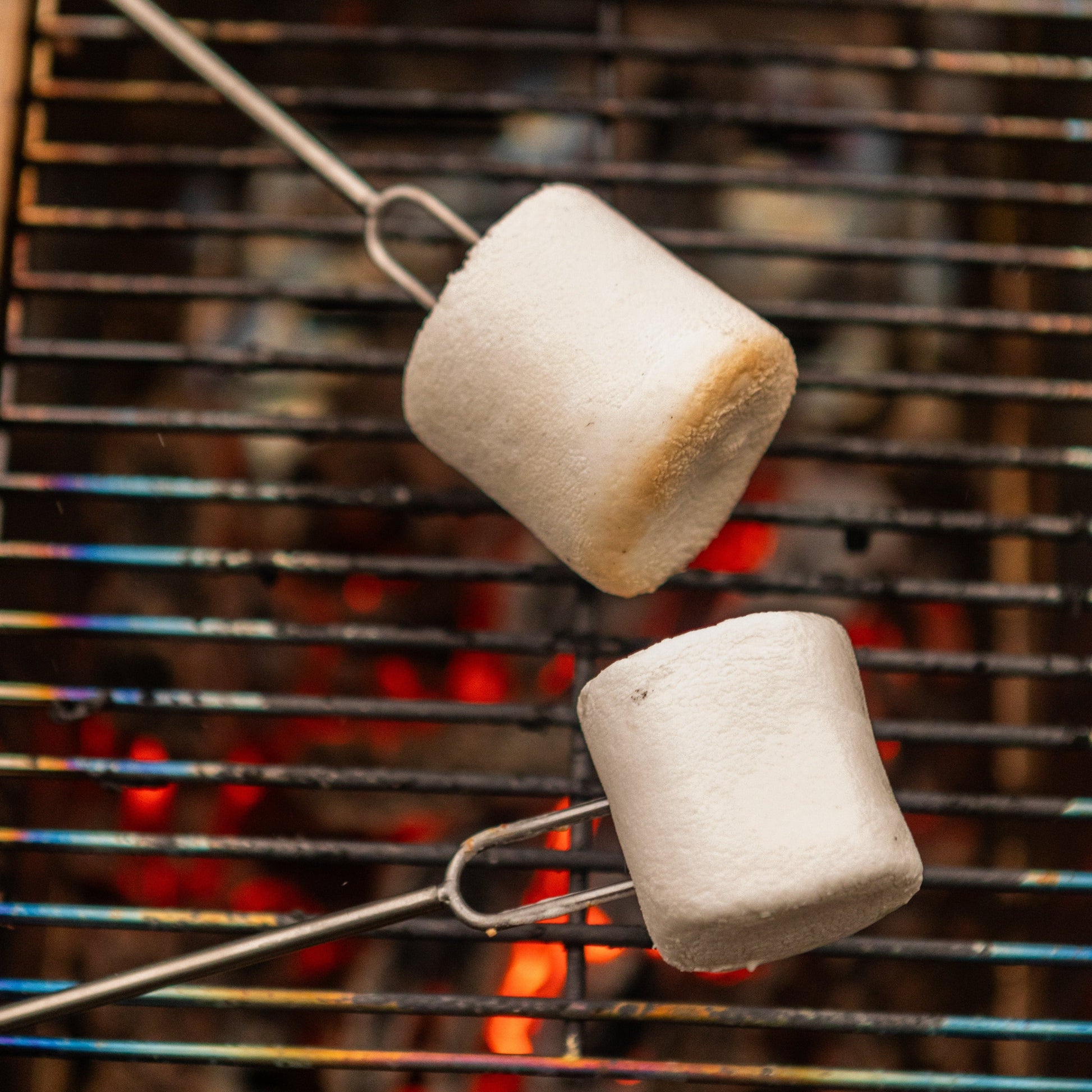 Roasting Fork 2-Pack UCOgear.com