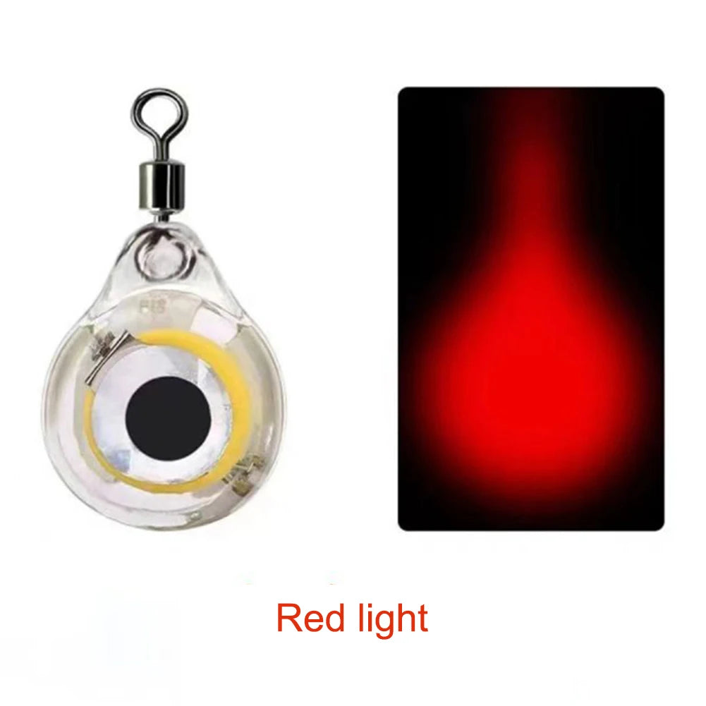 10-100Pcs Mini Fishing Lure Light LED Attracting Fish Light Underwater Eye Shape Fishing Bait Luminous Lure for Attracting Fish Daniel’s Outdoor Company