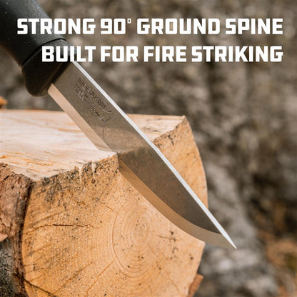 COMPANION SPARK (S) UCOgear.com